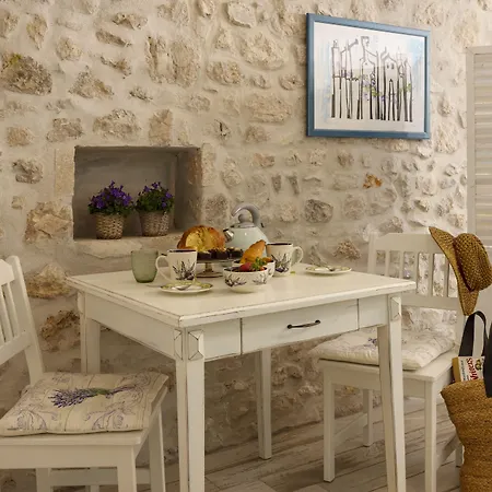 Stayeva 11 Guest house