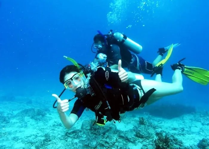 Stayeva 11 Pensionat 4*