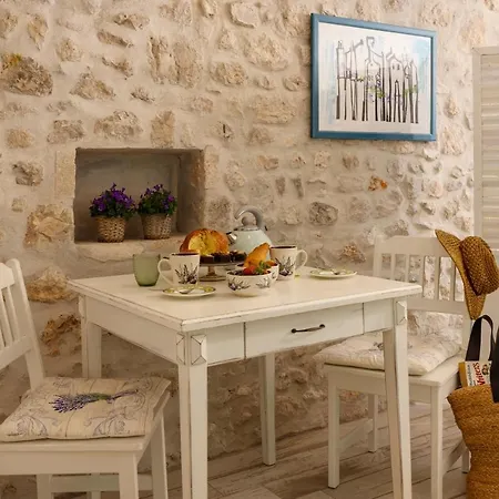 Stayeva 11 Guest house 4*